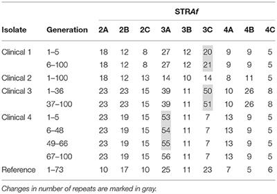 Microsatellite Stability in STR Analysis Aspergillus fumigatus Depends on Number of Repeat Units